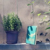 Đọc sách: Cuộc cách mạng một cọng rơm